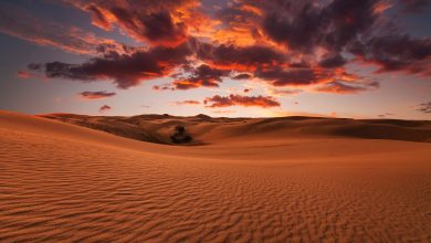 Photo of Some of the Most Beautiful Deserts In The World