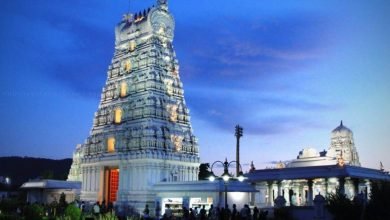 Photo of Tirupati Darshan: Interesting Facts